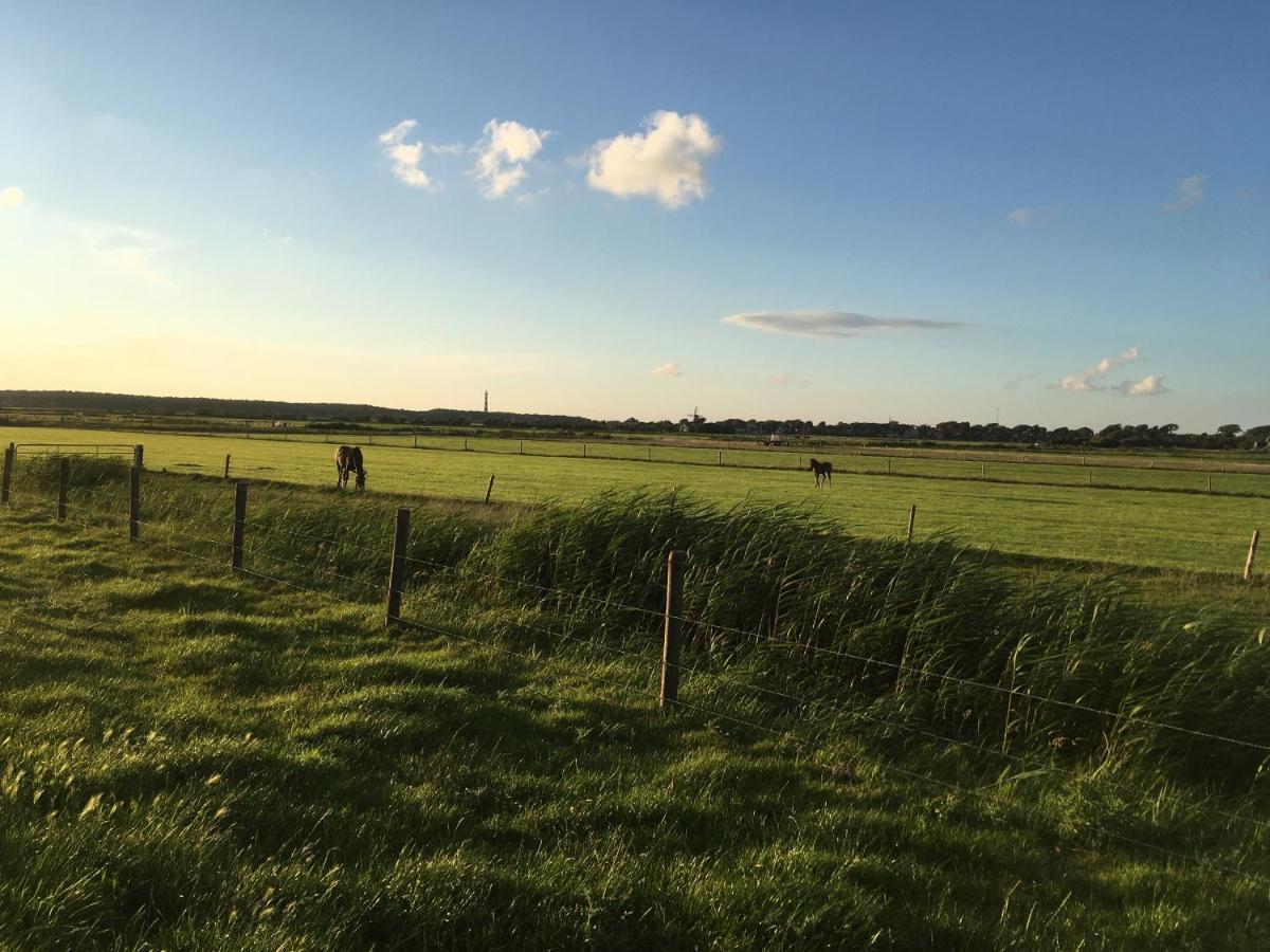 Meeuw Villa Hollum  Exteriör bild