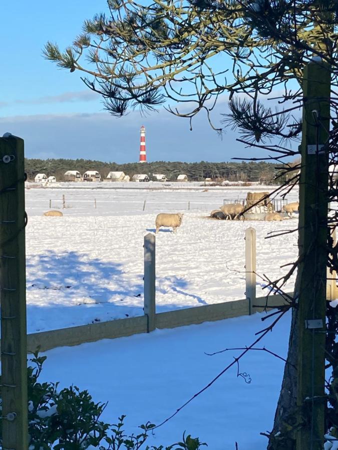 Meeuw Villa Hollum  Exteriör bild