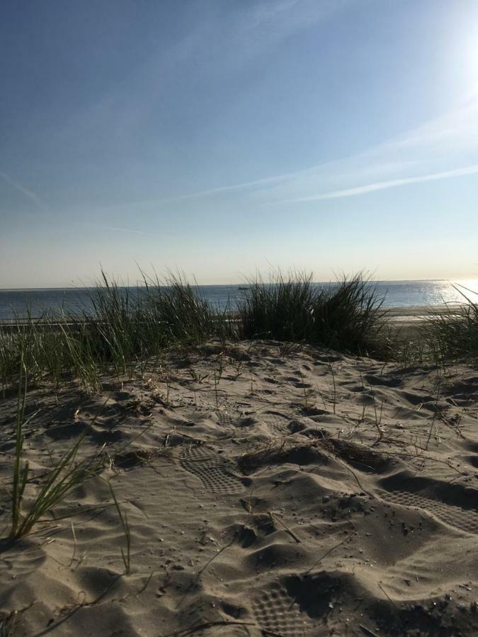 Meeuw Villa Hollum  Exteriör bild